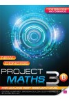 New Concise Project Maths 3 B LC Ordinary  onwards