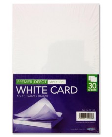 PREMIER DEPOT PACKET OF 30 6"x4" WHITE CARD
